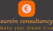 EuroIn Consultancy
